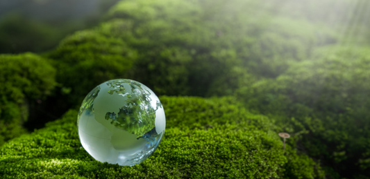 World Earth Day