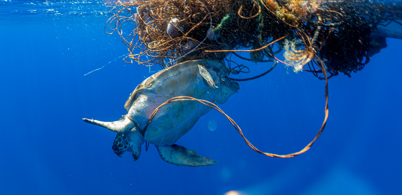 Het probleem van de Plasticsoep