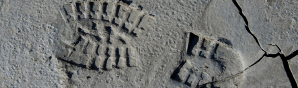 5 manieren om je ecologische voetafdruk te verkleinen