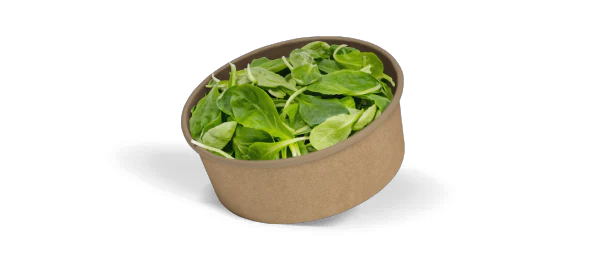 Salatschalen und Bowls