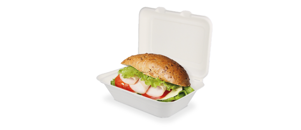 Suikerriet disposables